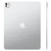 Apple iPad Pro 11 inch M4 Chip Ultra Retina XDR OLED Wi-Fi + Cellular 256GB Silver 2024